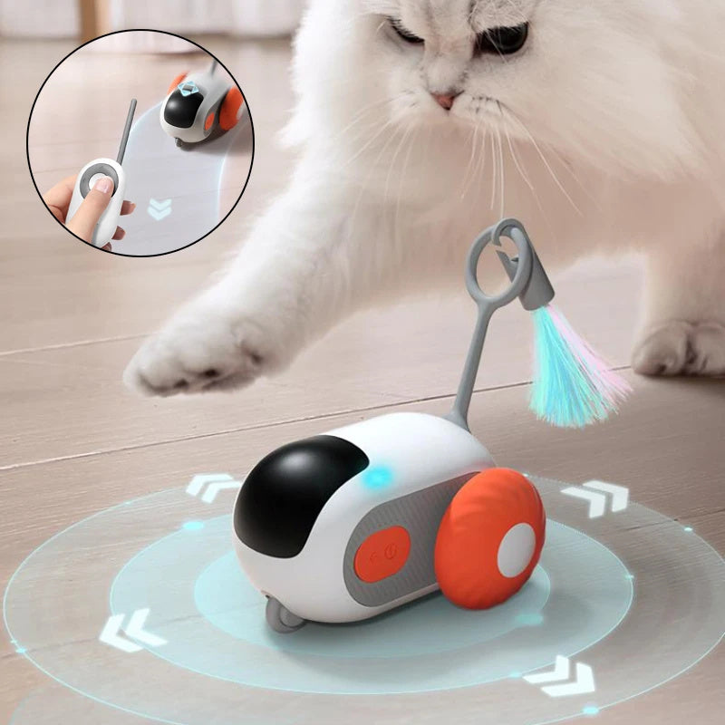 Interaktives Katzenautospielzeug mit Fernbedienung - USB-Aufladung