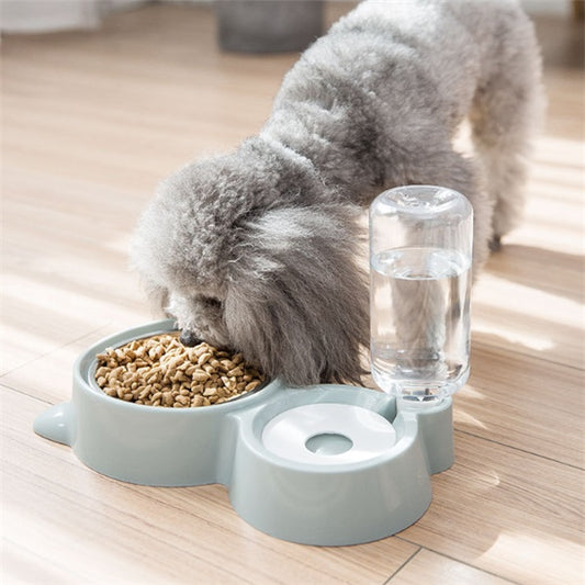 Doppelter Futternapf mit automatischem Wasserspender für Katzen und Hunde
