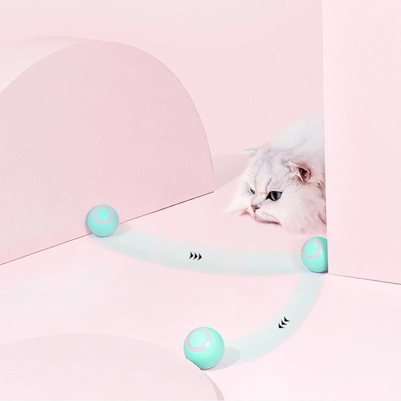 Interaktives Katzenautospielzeug mit Fernbedienung - USB-Aufladung