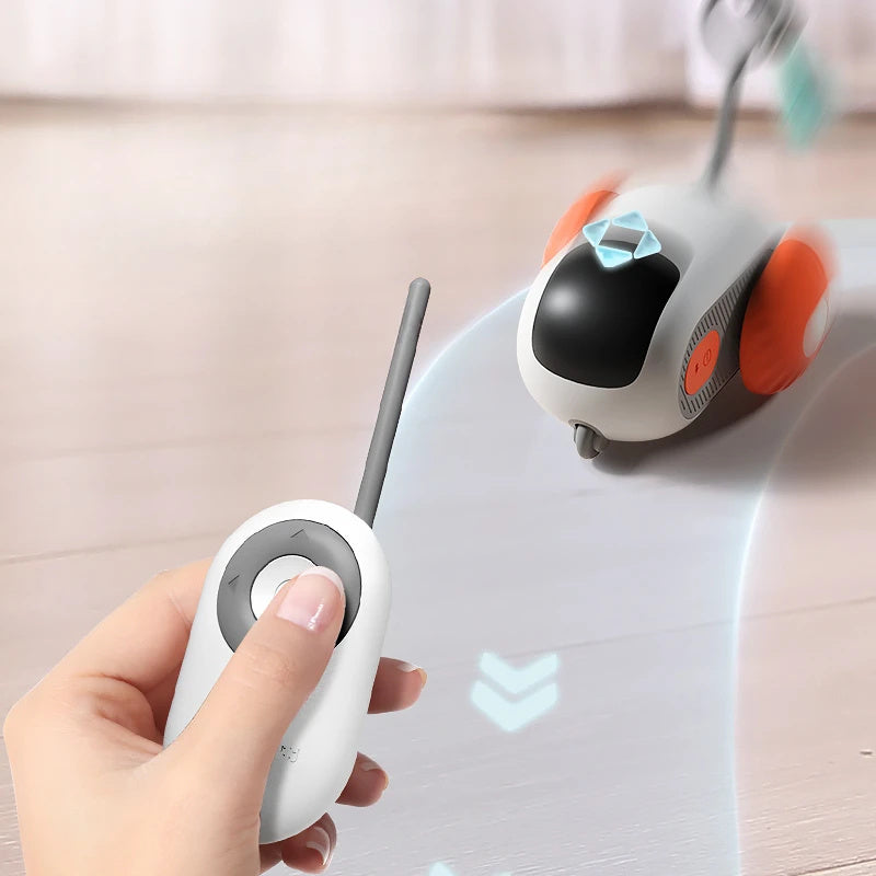 Interaktives Katzenautospielzeug mit Fernbedienung - USB-Aufladung